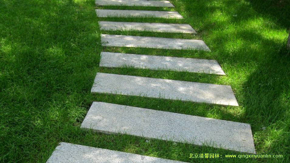 南苑機(jī)場