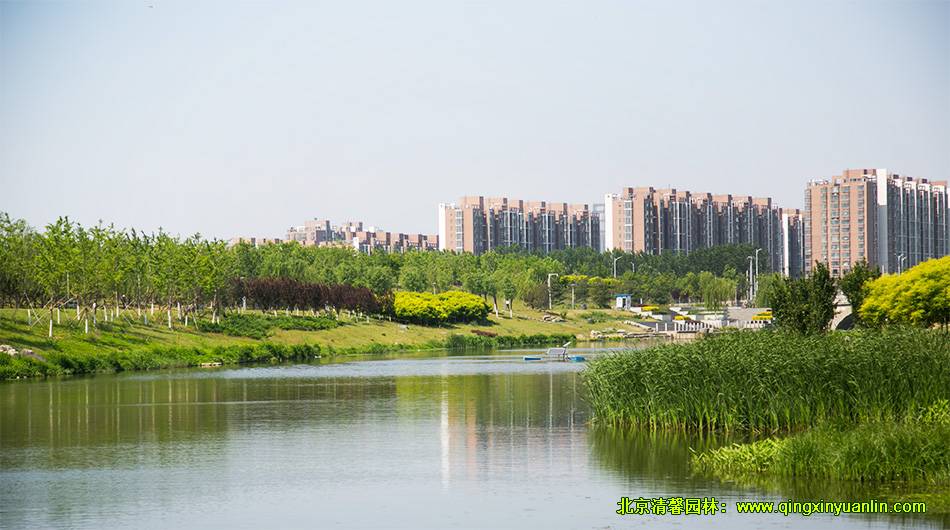 公園景觀(guān)設(shè)計(jì) 度假村景觀(guān)設(shè)計(jì)