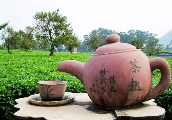 園林景觀 文化藝術 園林綠化