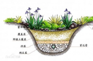 什么是雨水花園？雨水花園和普通花園有什么區(qū)別？