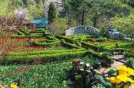 童話農(nóng)莊景觀設(shè)計(jì)：香草王國農(nóng)園