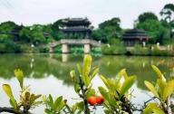 上海韓湘水博園園林景觀設(shè)計亮點淺析
